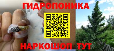 кристаллы Гагарин