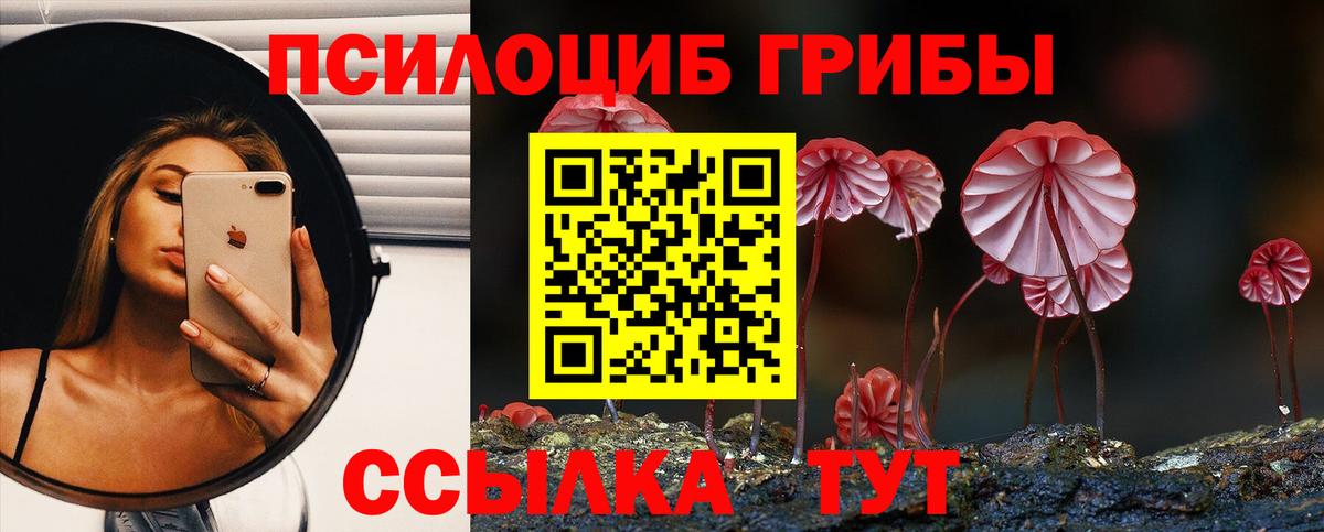 Губкинский  Галлюциногенные грибы ЛСД  Вход с VPN 